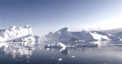 Facing the Flood - 2nd Prize (14-17 years)