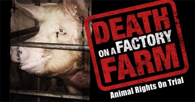 Death On A Factory Farm (2009)