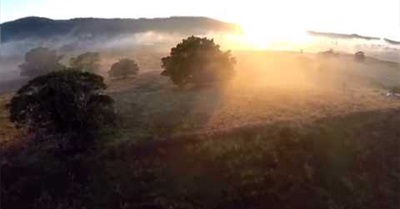 Battle for Bentley - Will you show up?