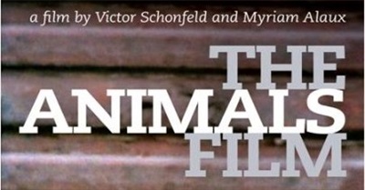 The Animals Film