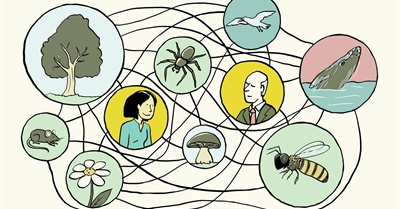 An Urgent Message for Humanity