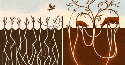 If You Want to Save the World, Veganism Isn’t the Only Answer