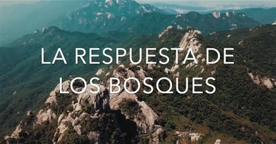 La respuesta de los bosques