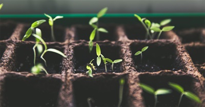 Building Innovators for Social Impact