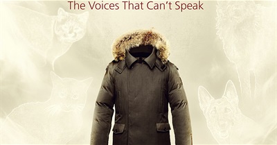 The Truth About the Dog and Cat Fur Trade