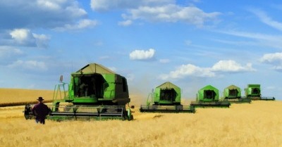 Four Things You Can Do to Defend Organic Against the GMO Alfalfa Threat