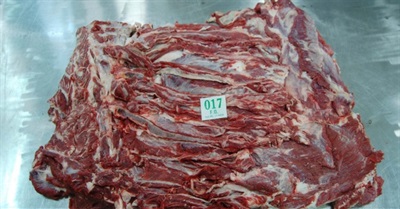 Buy Best HALAL Frozen Beef Forequarter Online