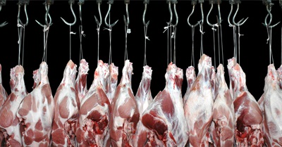 Five Ways the Meat on Your Plate Is Killing the Planet