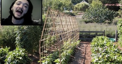 The Secret Reason Sustainable Living Is Now Illegal