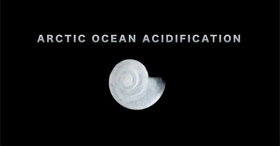 Climate Change’s ‘Evil Twin’: Ocean Acidification