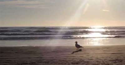 Protect our future - Connect4Climate iChange competition