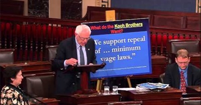 Who Are the Koch Brothers?