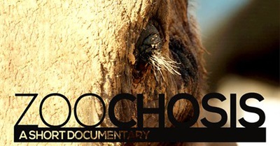 Zoochosis