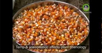 Mountain Voice: Issues That Matter in the Himalayas (trailer)