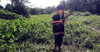 स्टोरी फ्रॉम अरुणाचल/ Story from Arunachal in Hindi