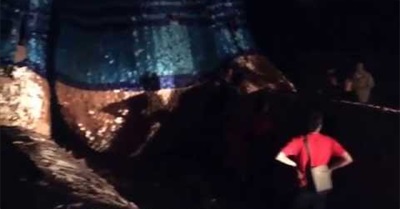 A Bear Against Land Grabbing 迷失小熊反迫遷