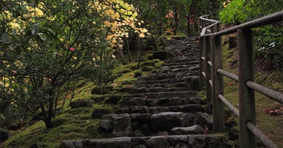 Introversion Is Not a Personality Fail