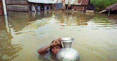 Where's the Missing Part, Naomi Klein?