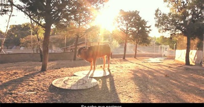 DOCUMENTAL: LA MORAL OLVIDADA