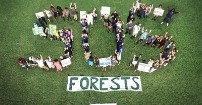 Save Our Southern Forests - Stop The European Biomass Industry Destroying American Forests