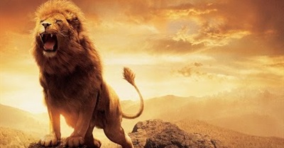 5 Ways Cecil's Death Will Create Positive Change (And One Nobody Is Talking about)