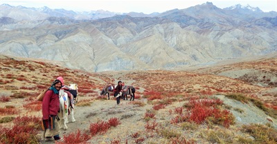 Lean Logic: a Dictionary for the Future