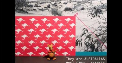 Semesterarbeit Katharina Niedermayer - Kangaroo