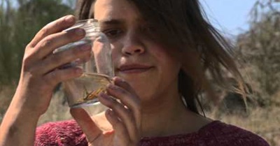 How Eli ended up in Matavenero