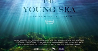 The Young Sea