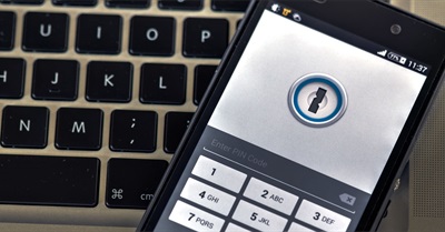 How to Protect Your Private Data When You Travel to the United States