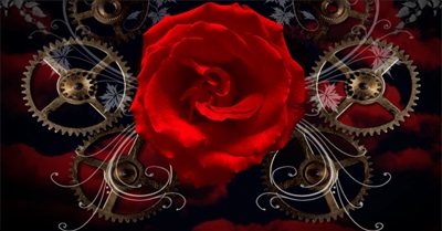 Thoughts on the Eve of the Trump Regime