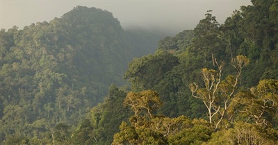 What Do We Lose When Experiences Go Extinct?