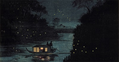 What's Happening to the Fireflies?