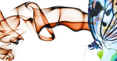 Revolt and Change Our Lives