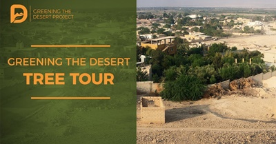 Greening the Desert: Tree Tour