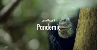 Jane Goodall - Pandemic