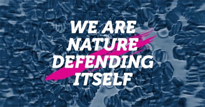 Climate Games - Nature Defending Itself