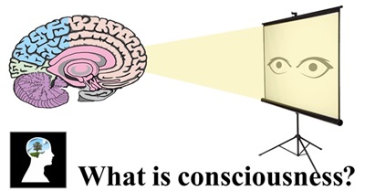 What Is Consciousness ?