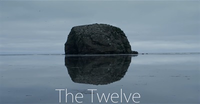 The Twelve: A Tale of Wisdom & Unity
