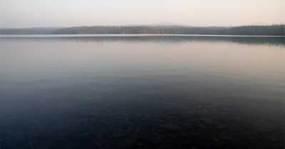 The Doomer Mentality Dooms Us to Failure