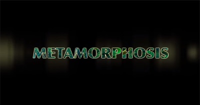 Metamorphosis: The Ayahuasca Ceremony Of The Amazon