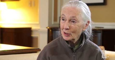 Jane Goodall on Canada's Dodgy Conservation Record and Why She's a vegetarian