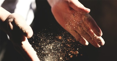 Transforming the Human Narrative: The Rise of Regenerative Development & Design