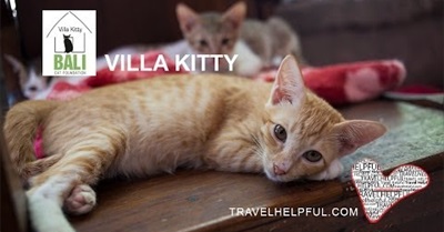 Villa Kitty - Don´t Stop Being Human HD 2014 (Bali)