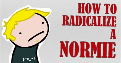 The Alt-Right Playbook: How to Radicalize a Normie