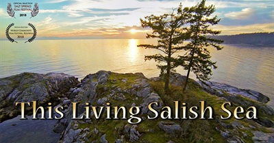 This Living Salish Sea