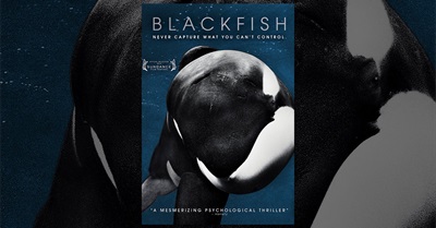 Blackfish