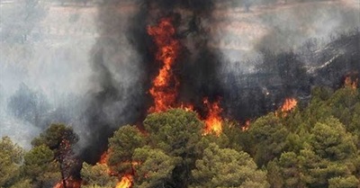 La Verdad Sobre La Carne (2008) - Meat The Truth