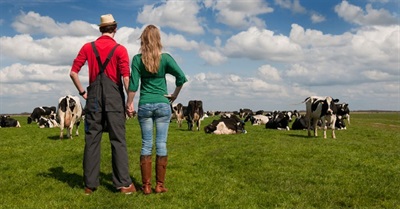 To Save Family Farms from Corporate Buyout, Retiring Farmers Connect with a New Generation