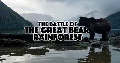 The Battle Of The Great Bear Rainforest